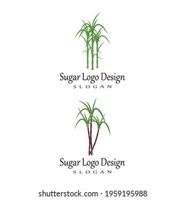 Sugar cane Logo Template vector nature symbols