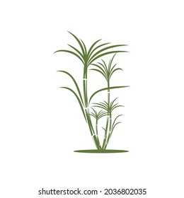 Sugar cane Logo Template vector symbol nature