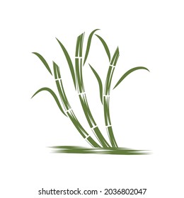 Sugar cane Logo Template vector symbol nature