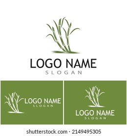 Sugar cane Logo Template vector symbol nature