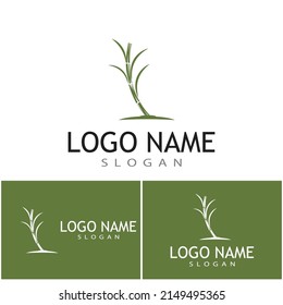 Sugar cane Logo Template vector symbol nature