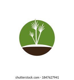 Sugar cane logo vector template