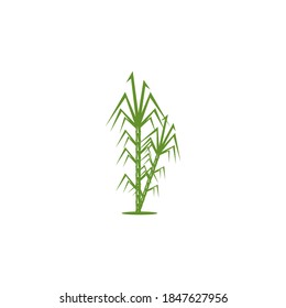 Sugar cane logo vector template