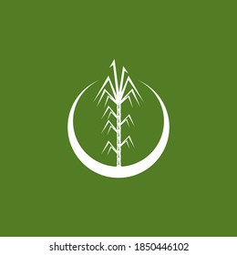 Sugar cane logo vector template
