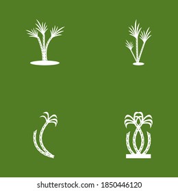 Sugar cane logo vector template