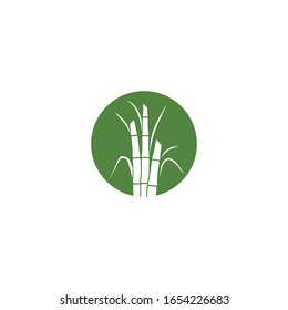 Sugar cane plant logo vector illustration design
