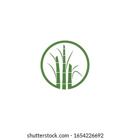 Diseño vectorial del logo de la planta de caña de azúcar