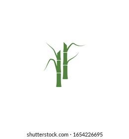 Sugar cane plant logo vector illustration design
