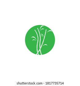 
Sugar cane plant logo vector illustration design