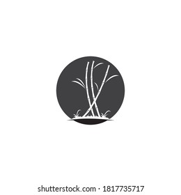 
Sugar cane plant logo vector illustration design