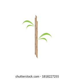 Diseño de la ilustración vectorial del logotipo de la planta de caña de azúcar