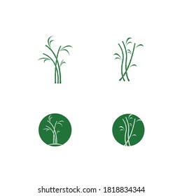 
Sugar cane plant logo vector illustration design