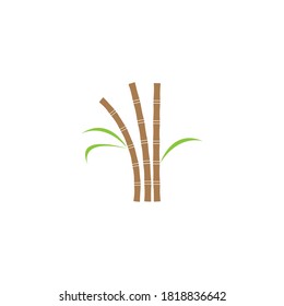 Sugar cane plant logo vector illustration design