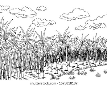 Sugar Cane Stock Illustrations – 24,728 Sugar Cane Stock Illustrations,  Vectors & Clipart - Dreamstime