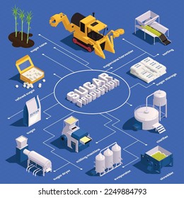 Sugar cane production isometric infographics with cane harvester sorting clarifier evaporator shredder sugar storage elements vector illustration