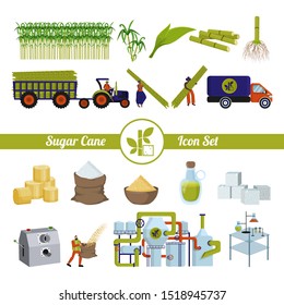 Sugar cane and products from it. Production and processing. Plant, factory, workers. Equipment. A set of isolated objects on a white background. Flat vector