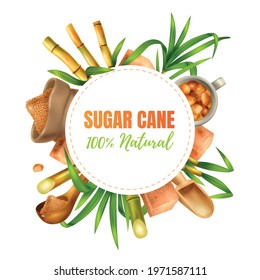 Sugar cane realistic design concept with manufacture and production symbols vector illustration