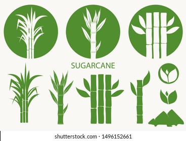 Sugar Cane Set. Cane Plant, Sugarcane Harvest Stalk, Plant And Leaves, Sugar Ingredient Stem. Vector