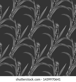 Sugar cane stalks with leaves seamless pattern. Sugar stalk cane seamless on black background. Engraving style vector illustration