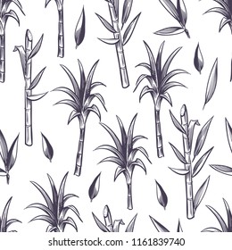 Sugar cane stalks with leaves, sugarcane plant vector seamless pattern. Sugar stalk cane seamless background, sugarcane ingredient illustration