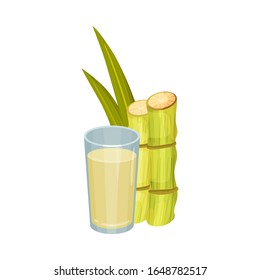 Sugar Cane Strong Unbranched Stems with Sugar Juice Poured in Glass Vector Illustration