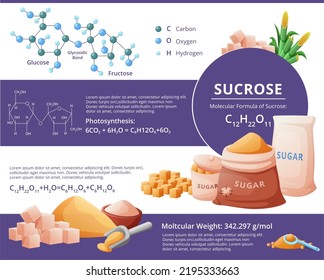 Sugar Cane Sucrose Atom Structure Glucose Stock Vector (Royalty Free ...