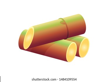 sugar cane, sugarcane fresh, sugar cane isolated on white background, vector