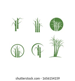 Sugar cane tree logo vector illustration design