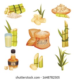 Sugar Cane Unbranched Stems with Leaves and Superfood like Brown Granulated Sugar Vector Set