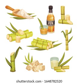 Sugar Cane Unbranched Stems with Leaves and Superfood like Brown Granulated Sugar Vector Set