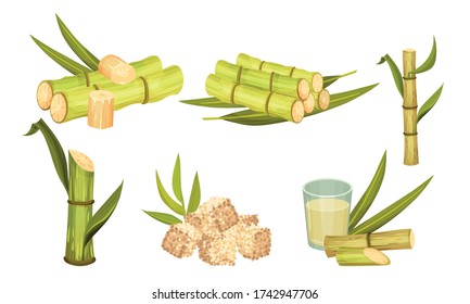 Sugar Cane Unbranched Stems with Leaves and Superfood like Brown Granulated Sugar Vector Set