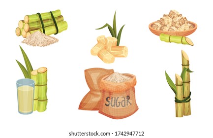 Sugar Cane Unbranched Stems with Leaves and Superfood like Brown Granulated Sugar Vector Set