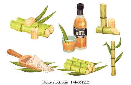 Sugar Cane Unbranched Stems with Leaves and Superfood like Brown Granulated Sugar Vector Set