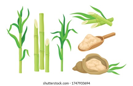 Estrellas de caña de azúcar sin ramificar con hojas y supercomida como conjunto de vectores de azúcar granulado marrón