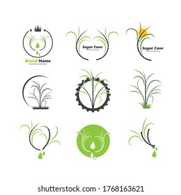 sugar cane vector icon illustration design
