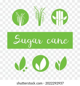 Sugar cane vector illustration eps10