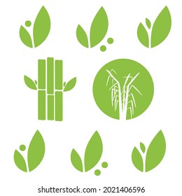 Sugar cane vector illustration. Sugarcane icon