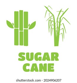 Sugar Cane Vector Illustration Sugarcane Icon Stock Vector (Royalty ...