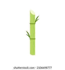 Sugar cane vector. Sugar cane on white background.