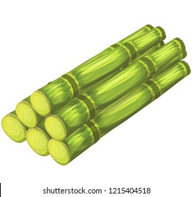sugar canes /vector illustration
