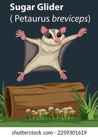 Sugar Glider animal flying illustration