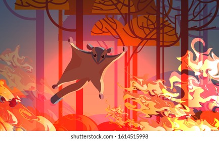 Sugar Glider Escaping From Fires In Australia Animals Dying In Wildfire Bushfire Natural Disaster Concept Intense Orange Flames Horizontal Vector Illustration