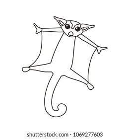 Sugar glider flies. Monochrome contour vector illustration with cute sugar glider. Flat style. Isolated on white background.