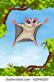 Sugar Glider Flying On The Tree Illustration