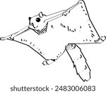 sugar glider hand drawn illustration vector. smile sugar glider. eps