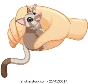Sugar glider in human hand illustration