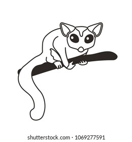 Sugar glider. Monochrome contour vector illustration with cute sugar glider. Flat style. Isolated on white background.