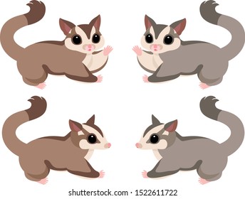 Sugar gliders whole body illustration set (brown, gray)