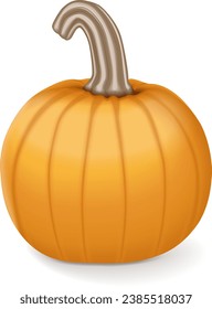 Sugar Pie Pumpkins. Winter squash. Cucurbita pepo. Fruits and vegetables. Isolated vector illustration.