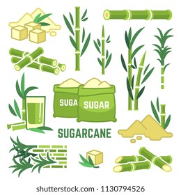 Sugar plant agricultural crops, cane leaf, sugarcane juice vector icons. Sugar cane, sweet plant, natural green stem illustration